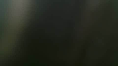 Misha online show from 02/15/25, 03:50