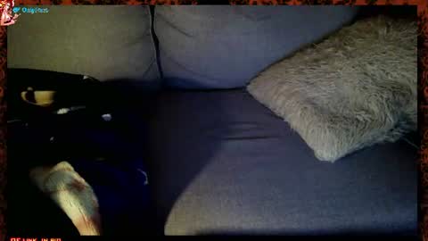 Snapshot of miss_cochonne chatting on 06/20/26, 02:25 Miss Cochonne -- 1969 custom vids SNAP 799 or VIP is 1345 for life and request or 1699 screenshot allowed online show from 06/20/26, 02:25