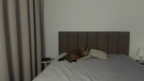 Emily online show from 02/09/25, 08:13