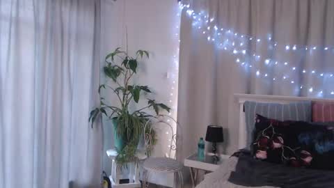 Snapshot of miss_eva_xxx chatting on 12/23/24, 03:29 Miss EVA  Email misseva123xxx online show from 12/23/24, 03:29