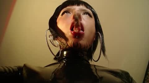 Anarkitten  online show from 10/22/25, 09:14