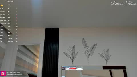 Snapshot of missbianca1 chatting on 02/14/25, 11:20 Bianca Torres online show from 02/14/25, 11:20