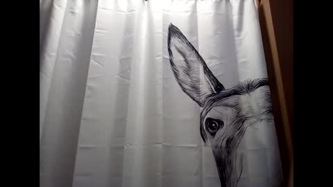 MissEeva online show from 12/19/24, 06:23