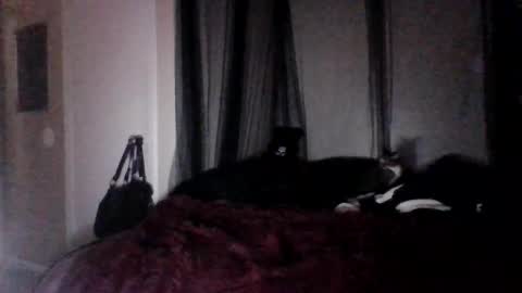 missgospel online show from 02/27/25, 02:21