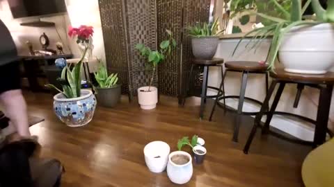 Bhadbarbie online show from 01/21/25, 12:39