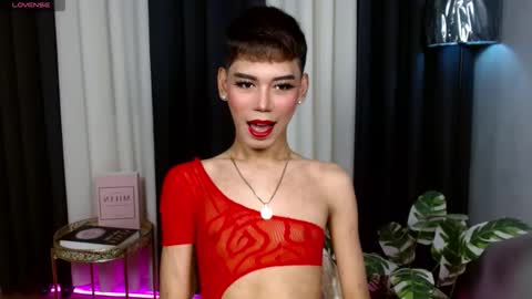 Stella online show from 09/17/25, 06:59