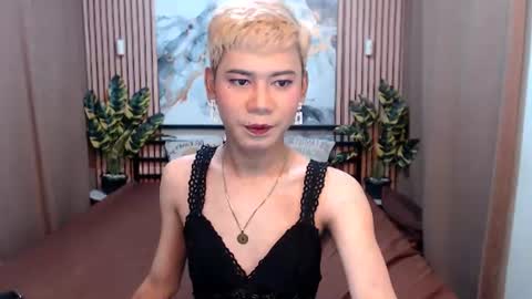 Stella online show from 08/05/26, 05:54