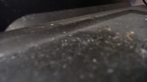 Calipso online show from 04/21/26, 09:15