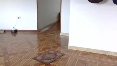 misternocturne online show from 04/20/26, 05:59