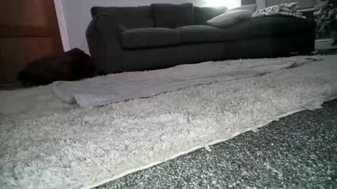 misterycouple12 online show from 12/23/24, 12:25