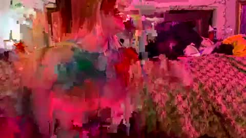 Smashing69 online show from 07/29/26, 06:39