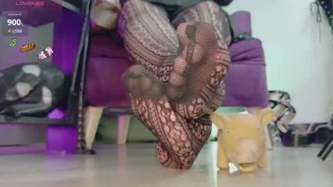 Jhadee online show from 02/23/26, 11:46