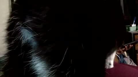 Mistress Mystii online show from 03/01/26, 05:42