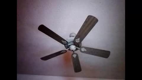 BobbyMitchGa online show from 12/15/24, 07:24