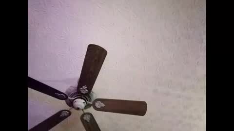 BobbyMitchGa online show from 01/04/25, 06:41