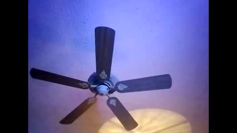 BobbyMitchGa online show from 01/20/25, 05:59