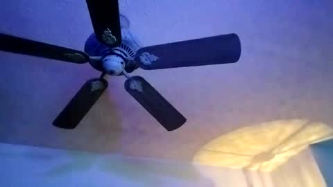 BobbyMitchGa online show from 02/10/25, 07:04