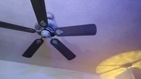 BobbyMitchGa online show from 02/12/25, 12:44