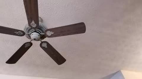 BobbyMitchGa online show from 02/23/25, 03:40