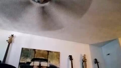 BobbyMitchGa online show from 09/14/25, 06:18