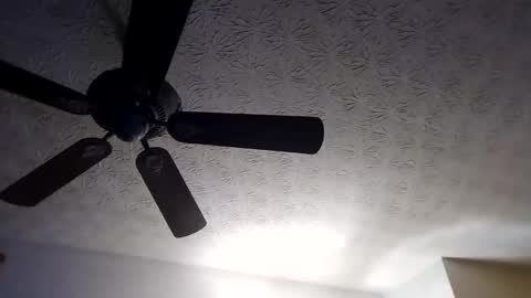 BobbyMitchGa online show from 09/18/25, 10:28