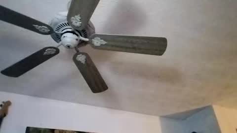 BobbyMitchGa online show from 09/27/25, 12:10