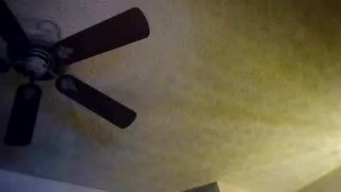 BobbyMitchGa online show from 10/10/25, 08:13