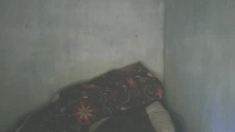 Snapshot of mitsh838354425 chatting on 07/04/26, 08:42 mitsh838354425 online show from 07/04/26, 08:42