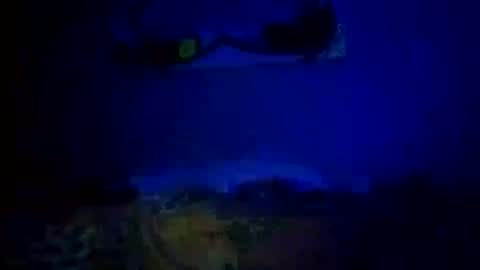 Snapshot of mjmckenz55 chatting on 10/14/25, 11:05 Daddy720 online show from 10/14/25, 11:05