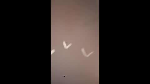 Mike4using online show from 03/10/26, 10:20