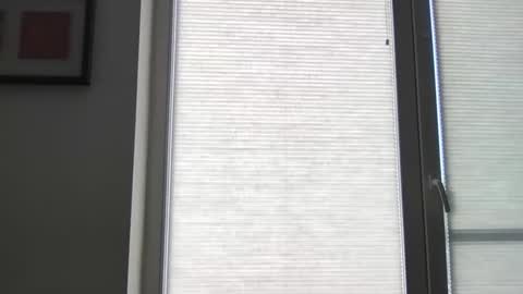 mko88951 online show from 04/22/26, 10:50