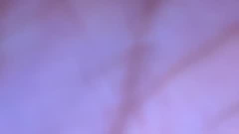 mmmtara online show from 12/19/25, 08:38