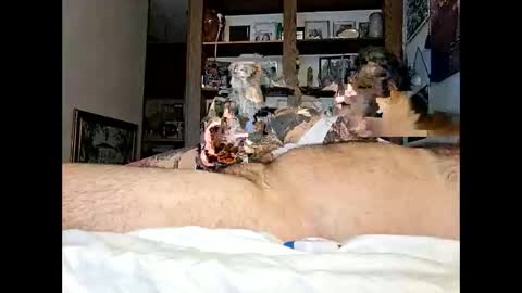 Kittykittybangbang online show from 02/15/26, 07:43