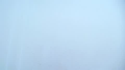 Catalina online show from 03/08/25, 08:33