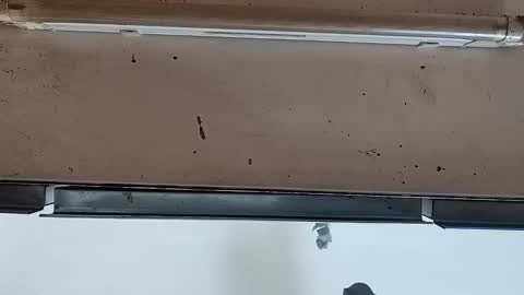 camilo online show from 09/24/25, 12:08