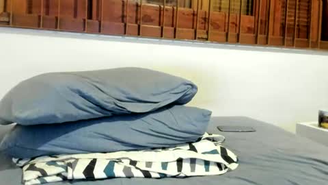 Snapshot of moderdelier chatting on 12/24/24, 09:11 DigBreed online show from 12/24/24, 09:11