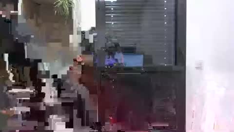 Julien online show from 01/24/25, 11:26