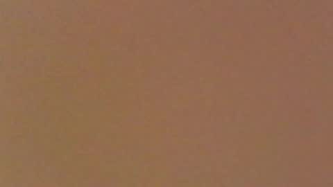 moma1111 online show from 04/11/26, 04:22