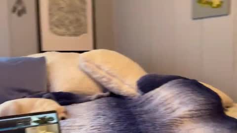 Mia  online show from 01/06/25, 02:58