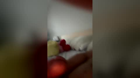monchito88 online show from 06/05/26, 11:27