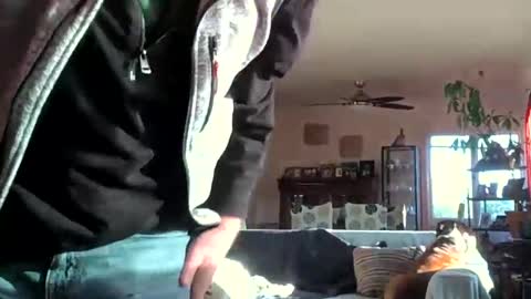 Monkee Dance online show from 12/06/24, 11:47