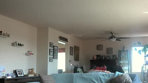 Monkee Dance online show from 03/03/25, 10:10