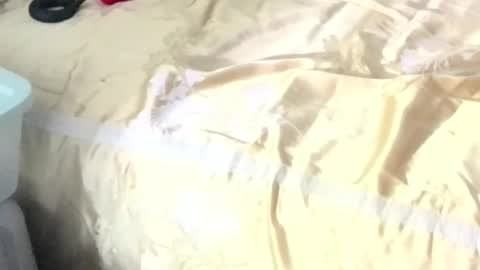 montydxxx2 online show from 02/15/26, 11:08