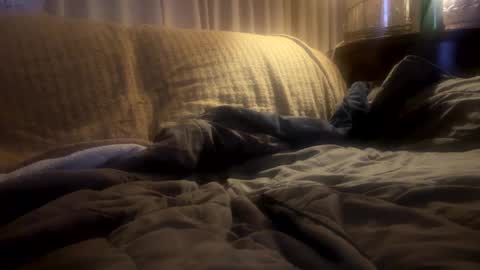 Snapshot of moon_man5 chatting on 02/20/25, 11:31 Mitchell online show from 02/20/25, 11:31