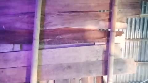 moon_roxee online show from 01/04/25, 07:13