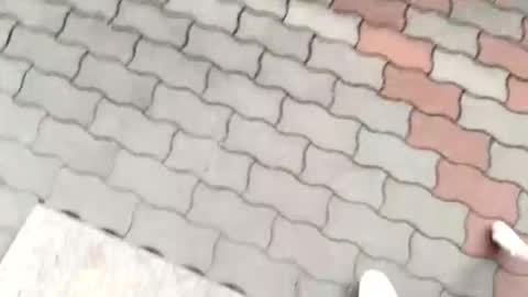 moos1 online show from 09/12/25, 12:16