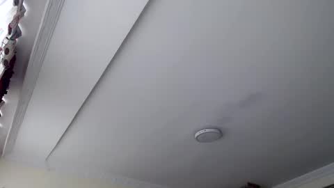 Abelardo online show from 10/29/25, 03:03