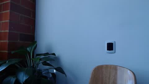 Abelardo online show from 03/20/26, 06:13