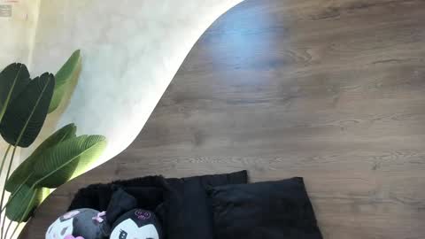  Morgan  online show from 01/28/25, 11:49