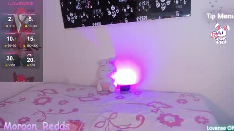 Morgan-Redds online show from 02/19/25, 07:27